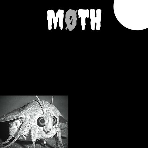 Moth