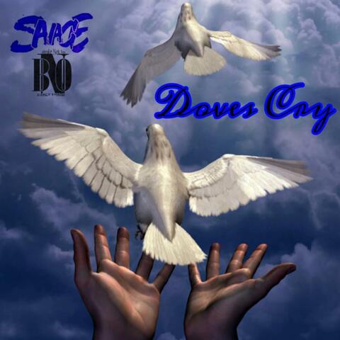 Doves Cry