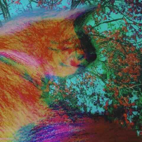 Loneliness & Distant Memories