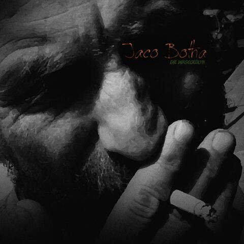 Jaco Botha