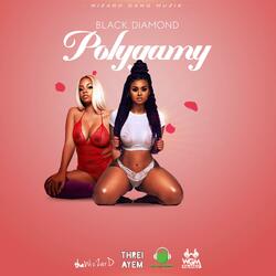Polygamy (Radio Edit)