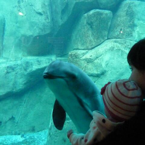 Johnny ST Tai-Melody of the Orient