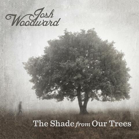 The Shade from Our Trees