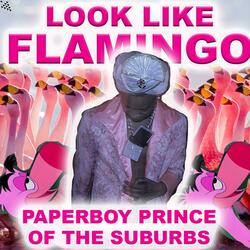 Look Like Flamingo