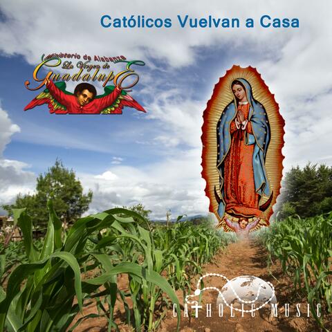 Católicos Vuelvan a Casa