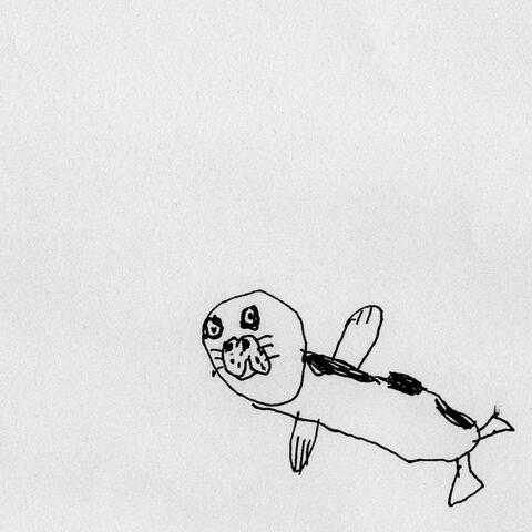 Walrus