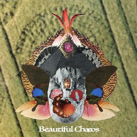 Beautiful Chæos