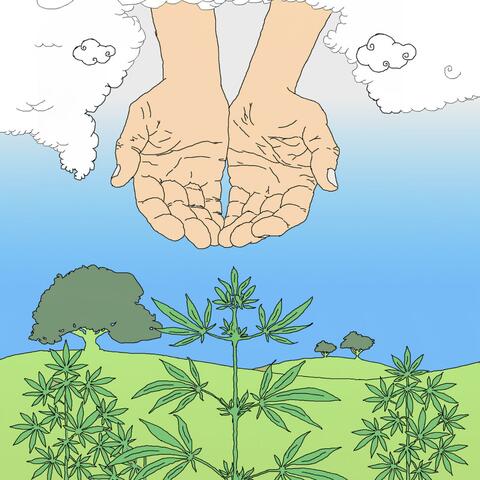 God Did Weed