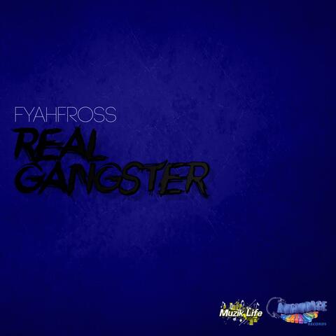 Real Gangster
