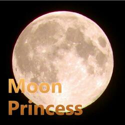 Moon Princess - Instrumental Music