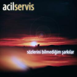 Sözlerini Bilmediğim Şarkılar