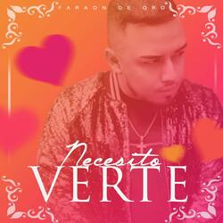 Necesito Verte