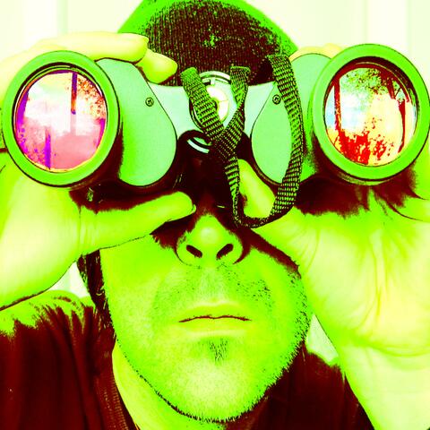 Weapons of Mass Distraction