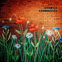 Wallflowers
