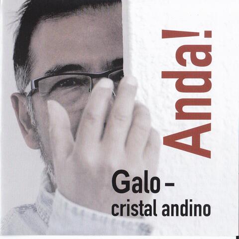Anda