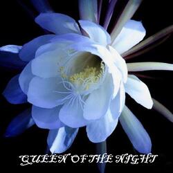 Queen of the Night