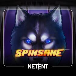 Spinsane (feat. Felix Martinz) [Original Game Soundtrack]