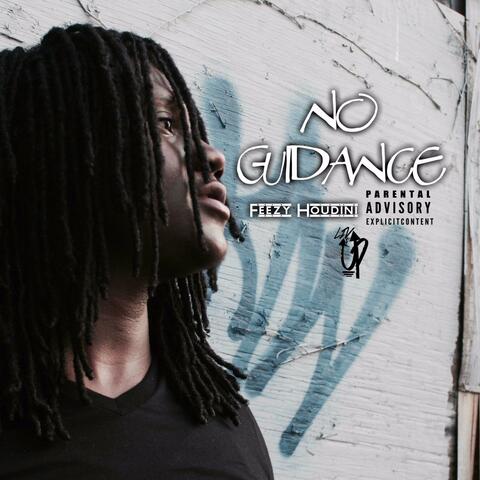No Guidance