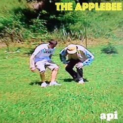Api