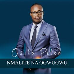 Nmalite Na Ogwugwu