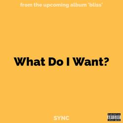 What Do I Want?