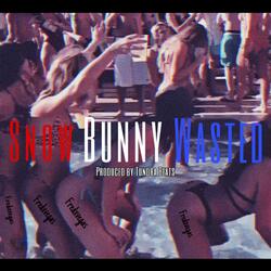 Snow Bunny Wasted