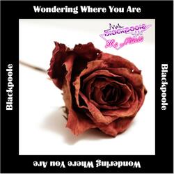 Wondering Where You Are