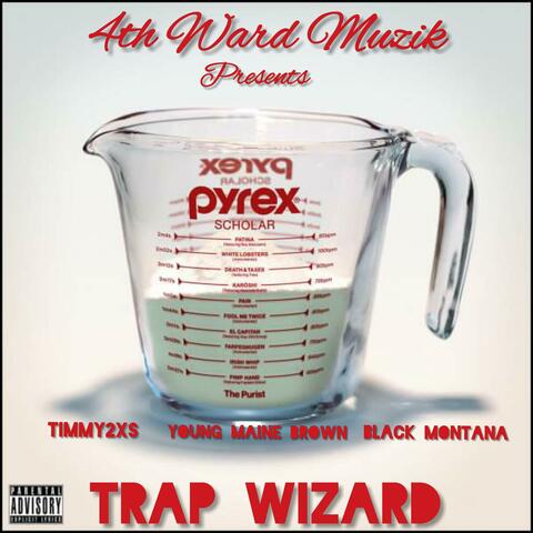 Trap Wizard