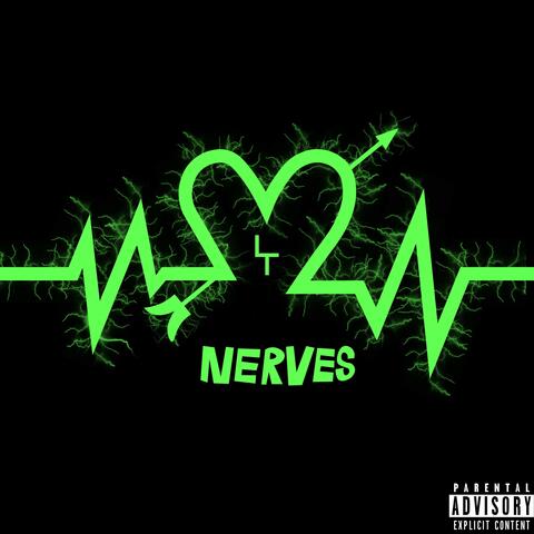 Nerves