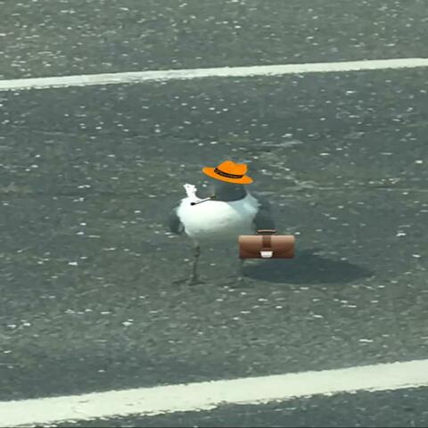 Seagull Song