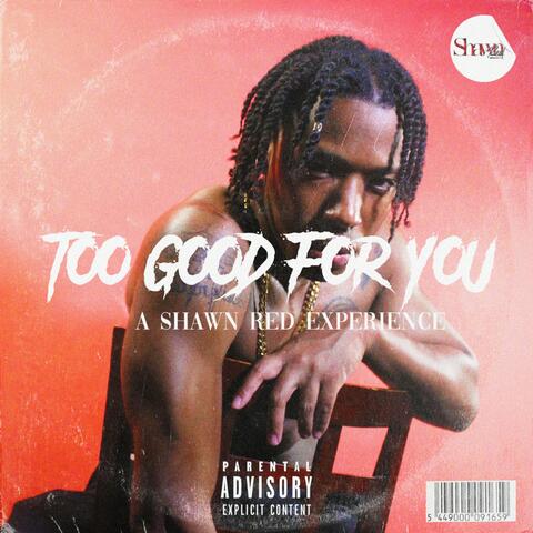Too Good for You