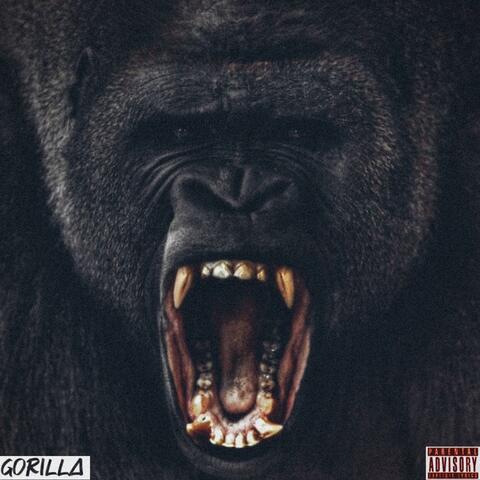 Guerilla