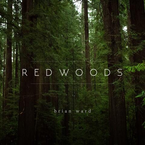 Redwoods