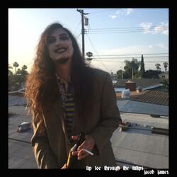 Tip Toe Through the Tulips