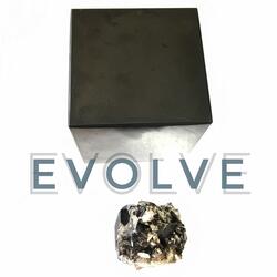 Evolve