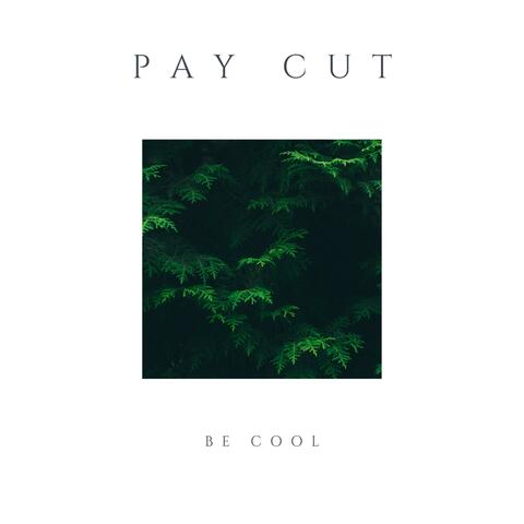 Pay Cut