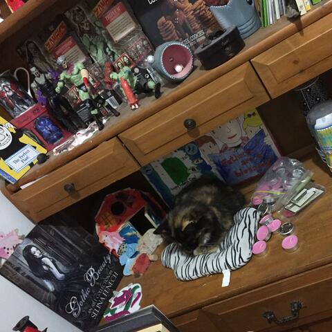 Marshmallows, Rainbows and Sunshines