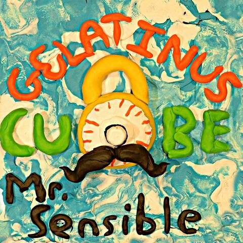 Mr. Sensible