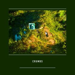 Crumbs