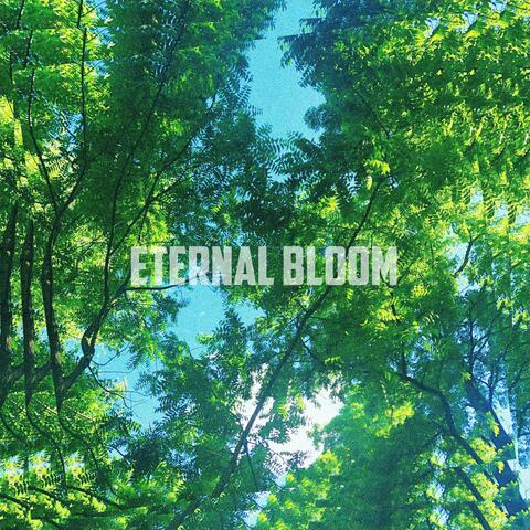 Eternal Bloom