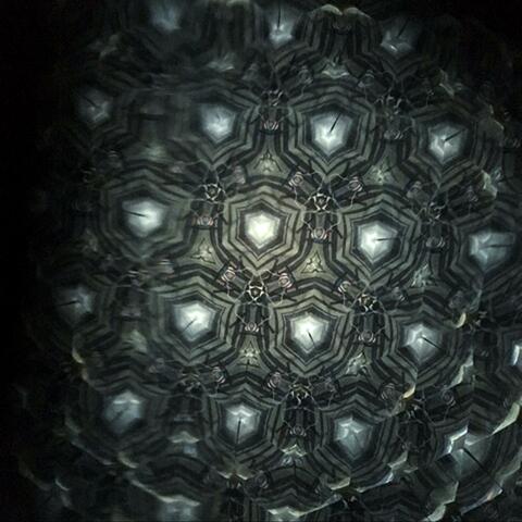 Azazone: Nature Machine