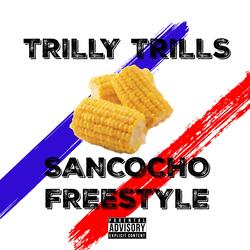 Sancocho Freestyle