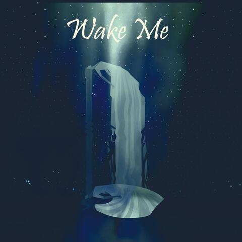 Wake Me (2019)
