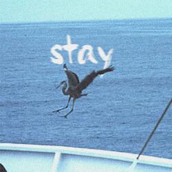 Stay
