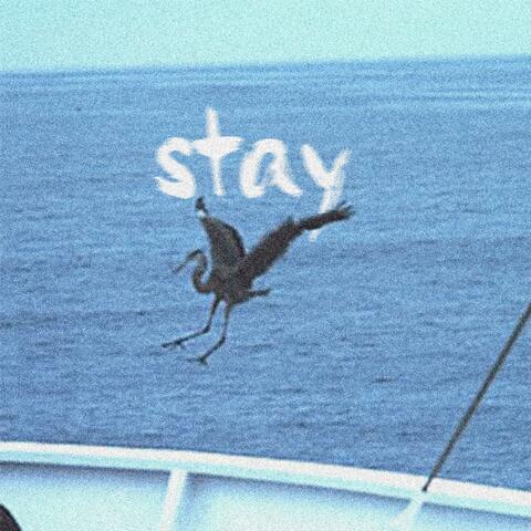 Stay