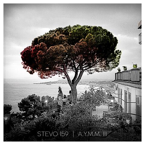 A.Y.M.M. 3