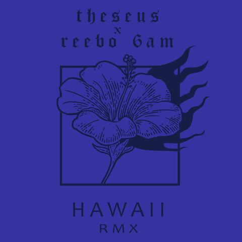 Hawaii Remix