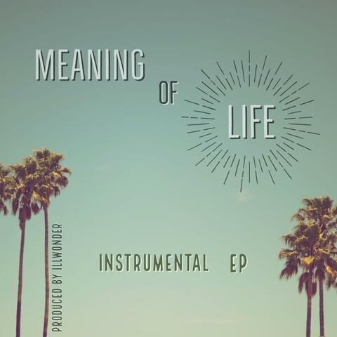 Meaning of Life