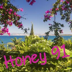 Honey 91