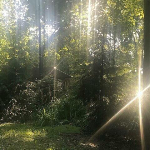 Serene.